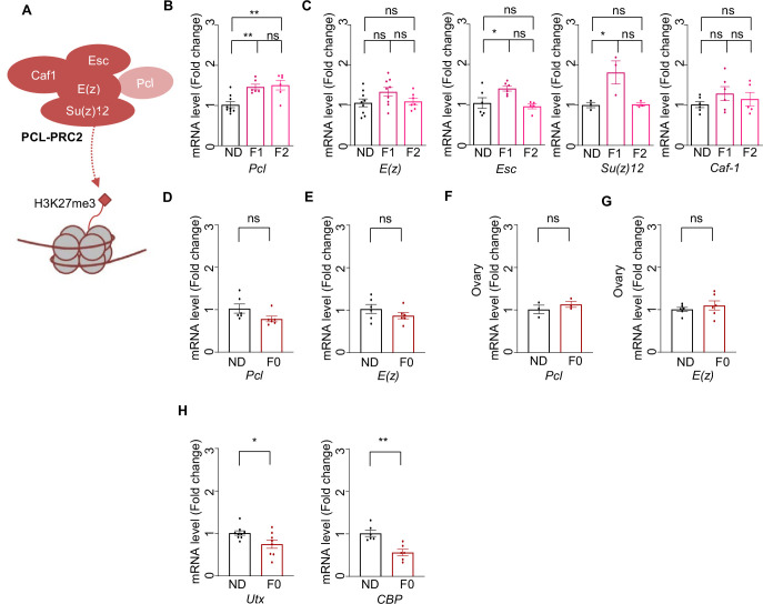 Figure 2—figure supplement 2.