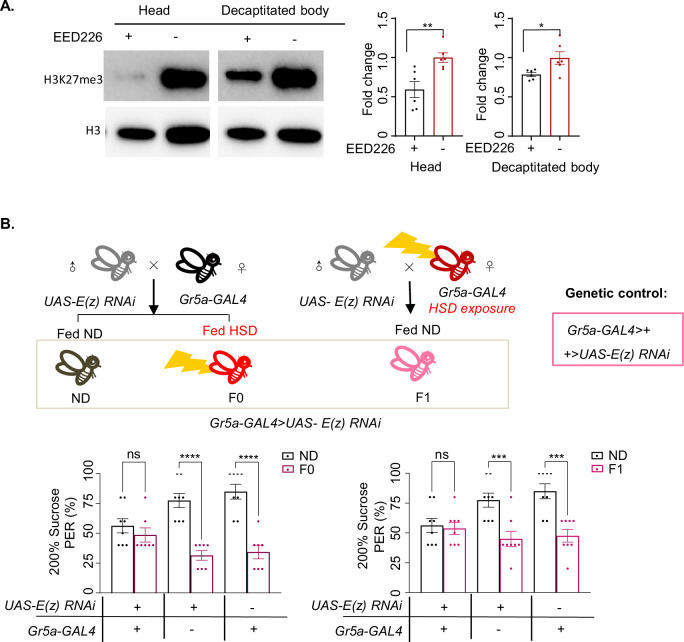 Figure 4—figure supplement 1.