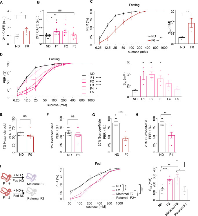 Figure 1—figure supplement 2.