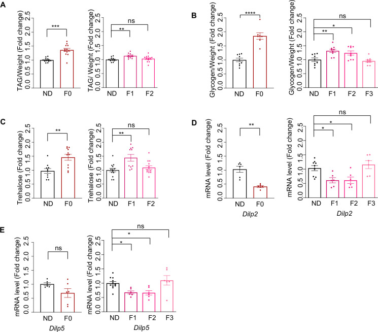 Figure 1—figure supplement 1.