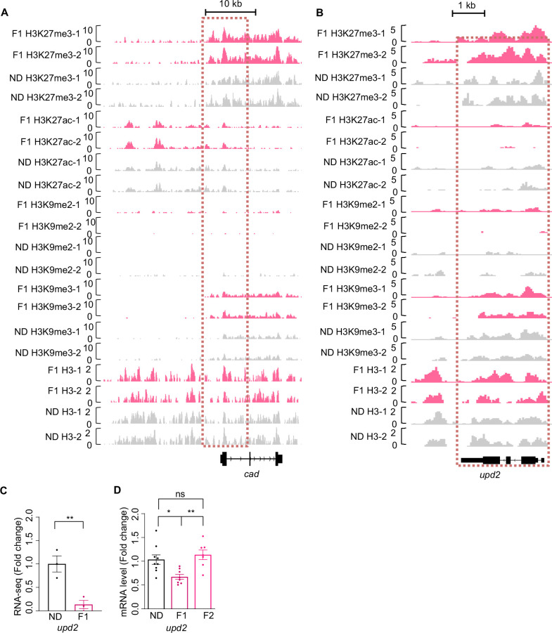 Figure 5—figure supplement 1.