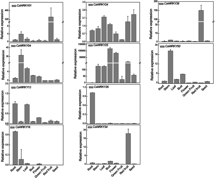 Figure 4