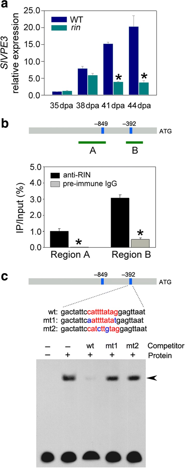 Fig. 13