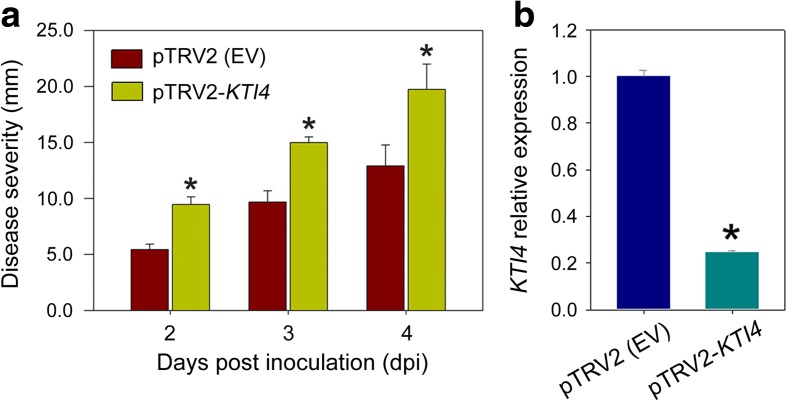 Fig. 12