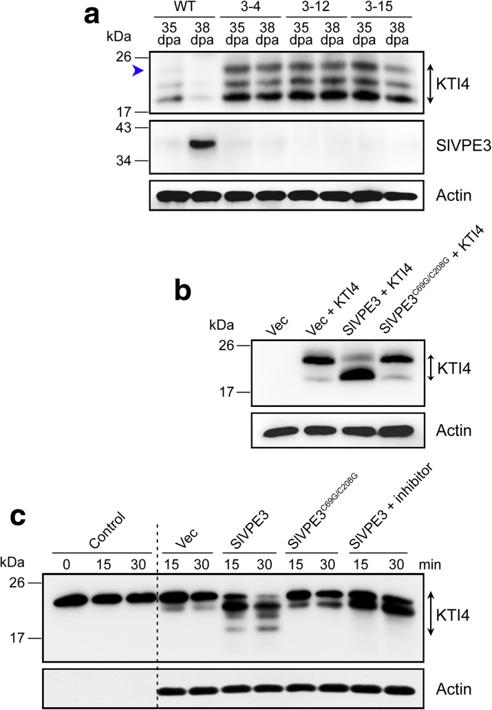 Fig. 10