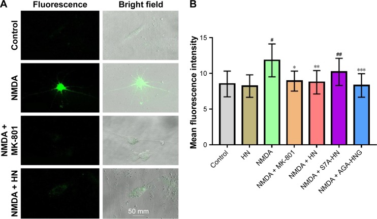 Figure 6