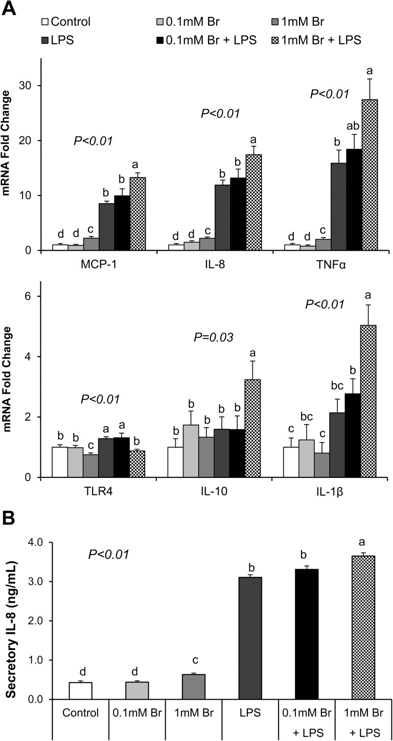 Fig 4