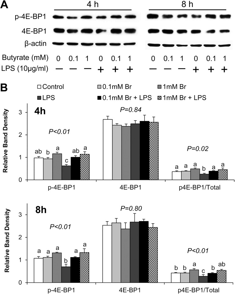 Fig 6