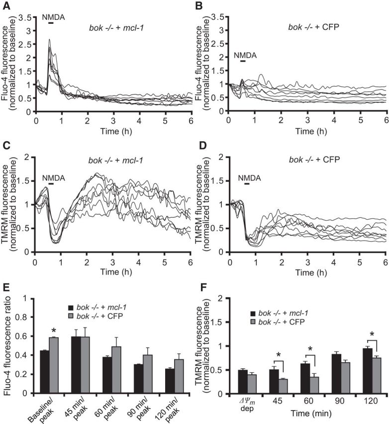 Figure 6.