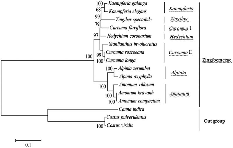 Figure 1.