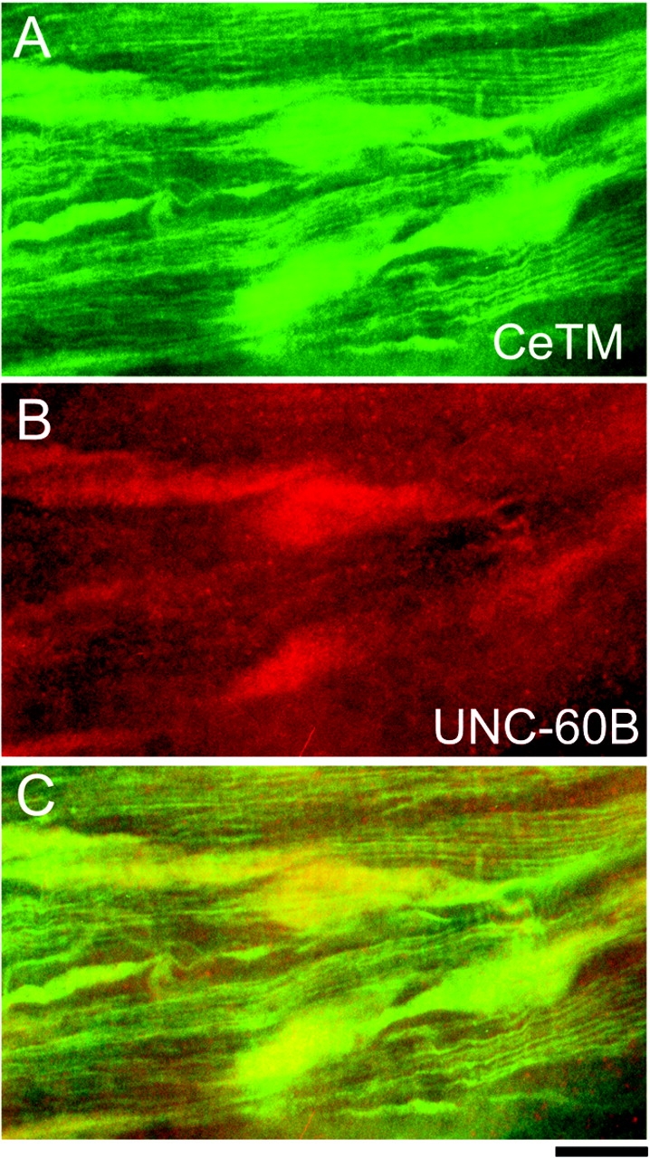 Figure 10.