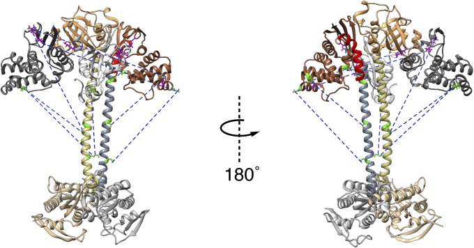 Fig. 6.