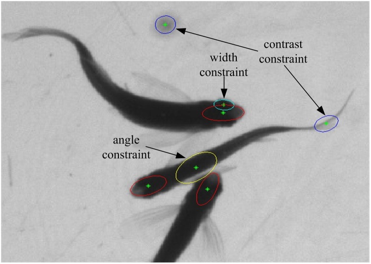 Figure 4