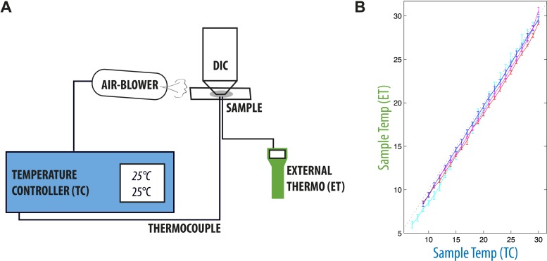 Figure 1—figure supplement 1.