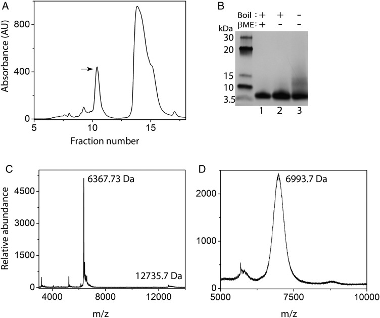 Fig. 2