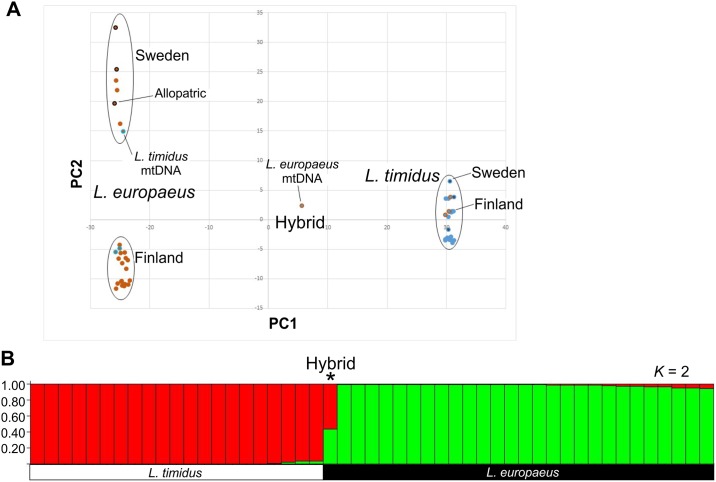 Fig 2