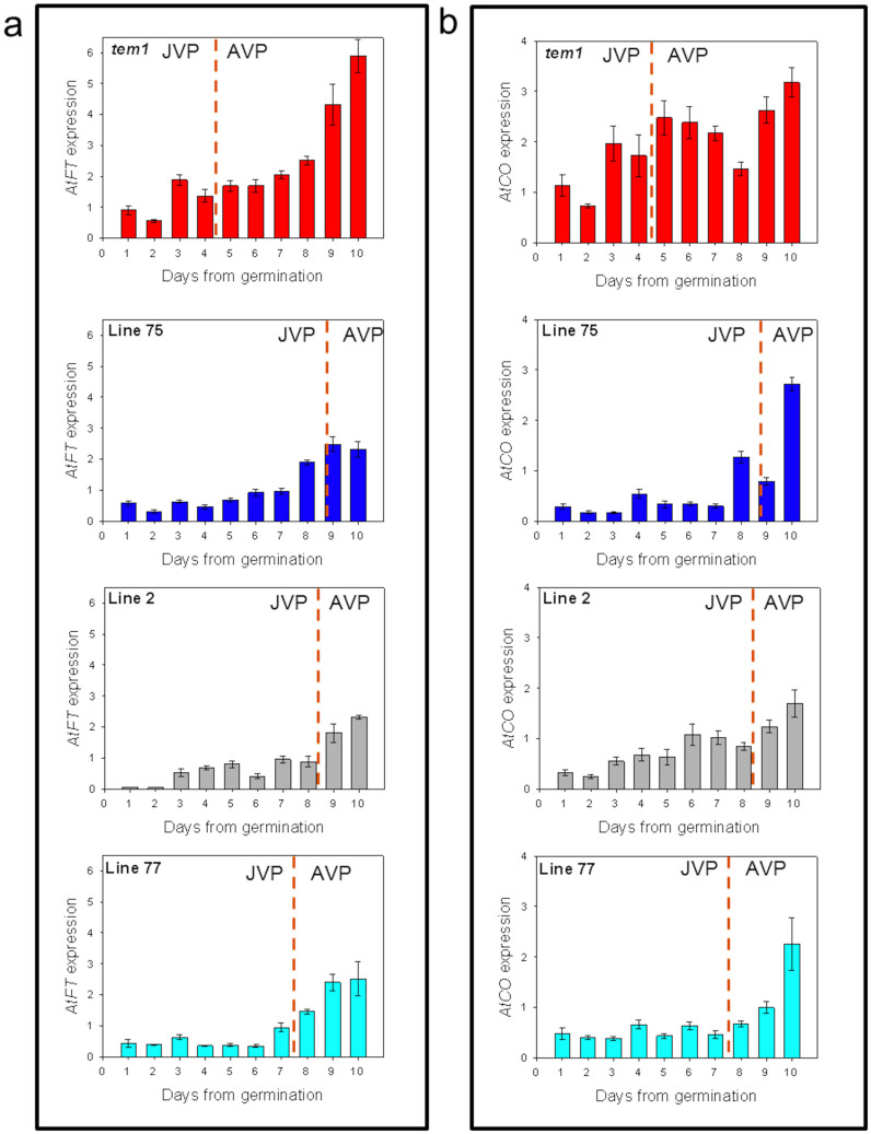 Figure 7