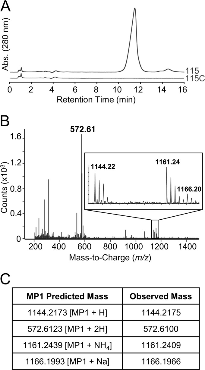 FIG 4