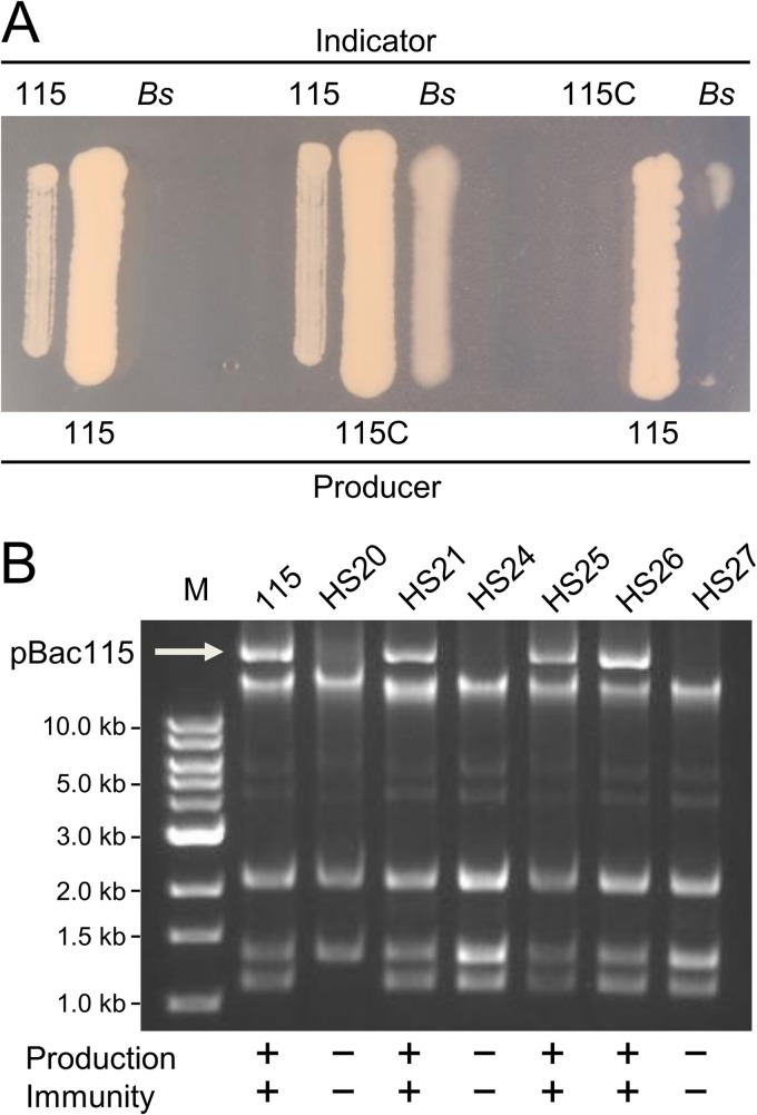 FIG 2