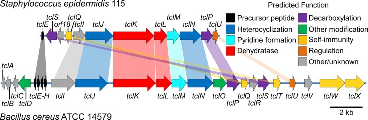 FIG 5