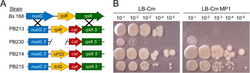 FIG 6