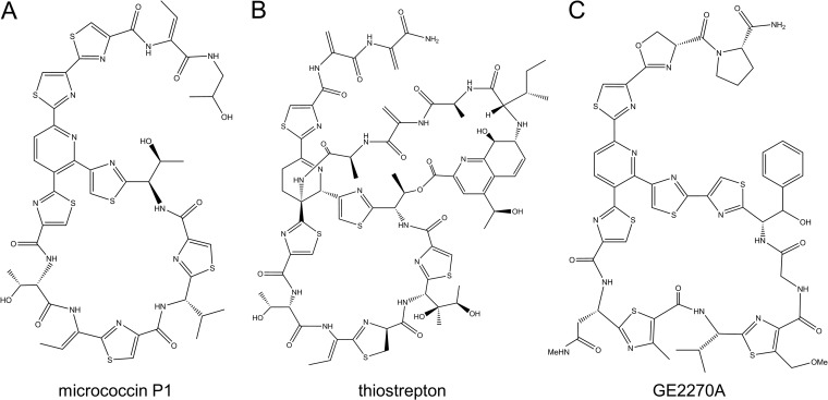 FIG 1