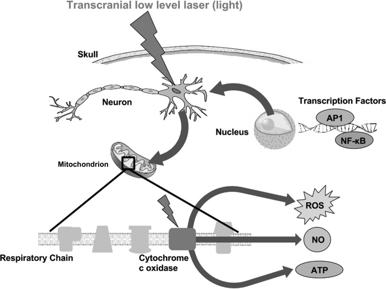 FIG. 2.