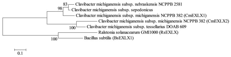 FIGURE 4