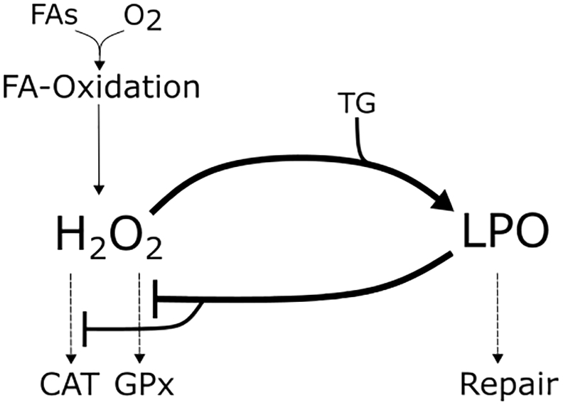 Fig. 9