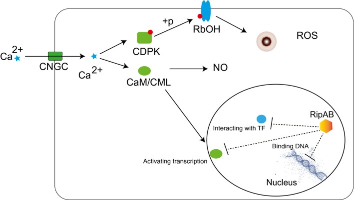 Figure 6