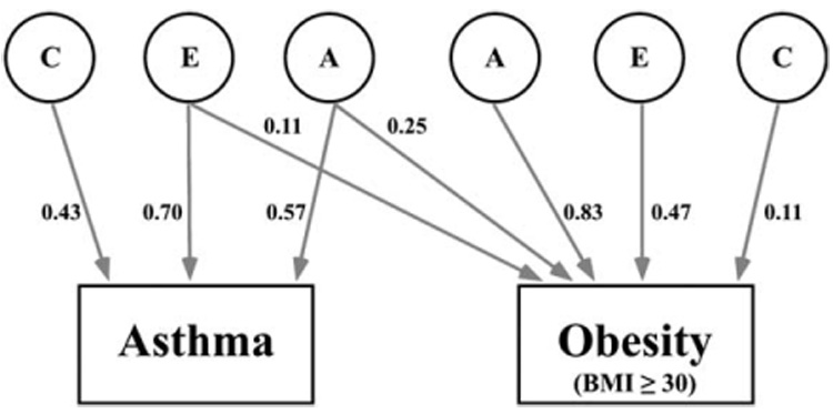 FIG 2.