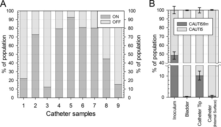 FIG 5