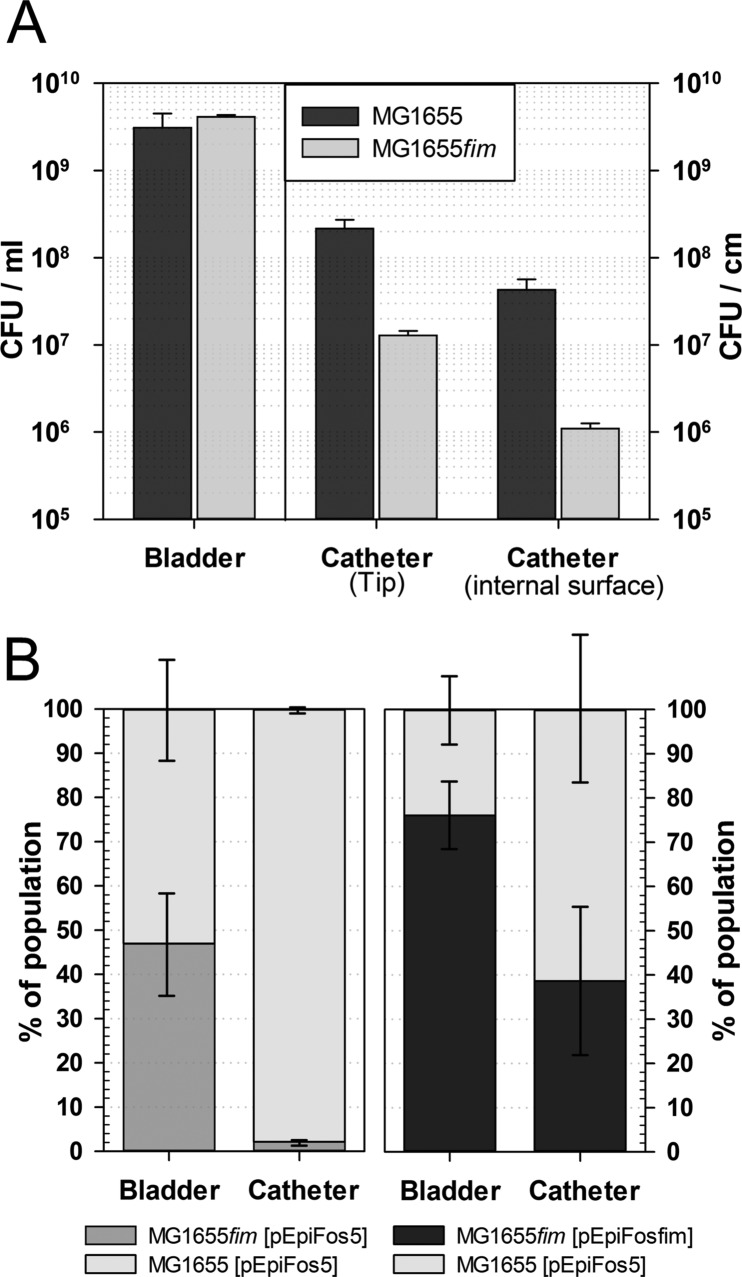 FIG 2