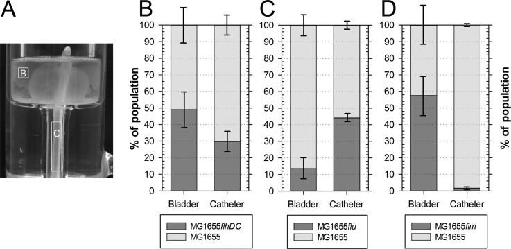 FIG 1