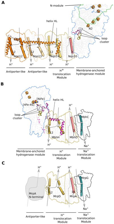 Figure 6