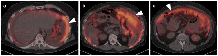 Figure 29