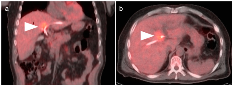 Figure 19