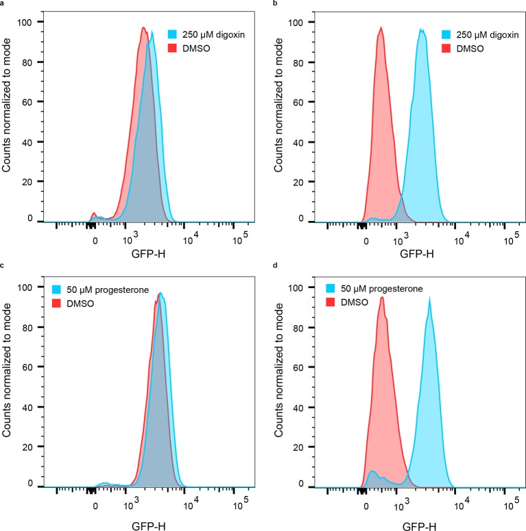 Figure 1—figure supplement 1.