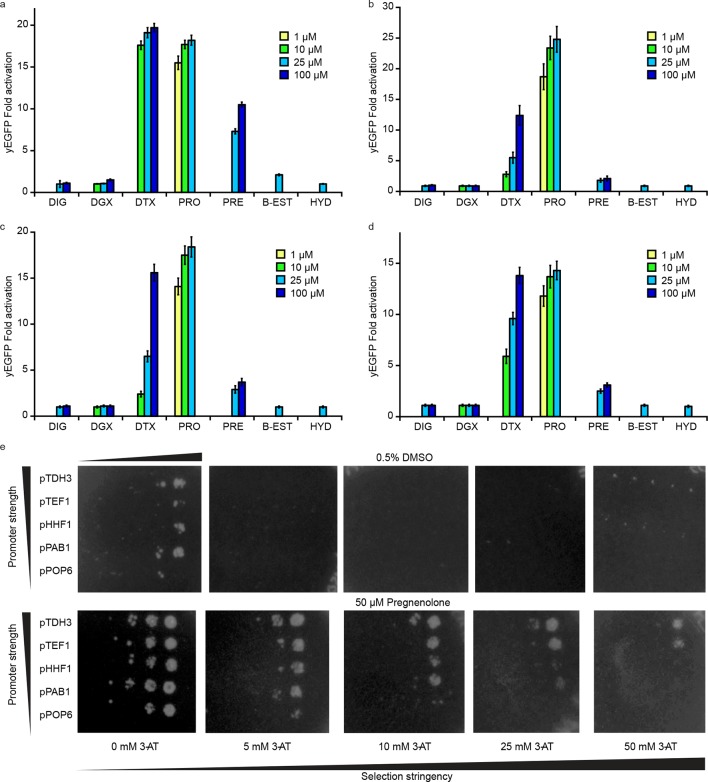 Figure 4—figure supplement 1.