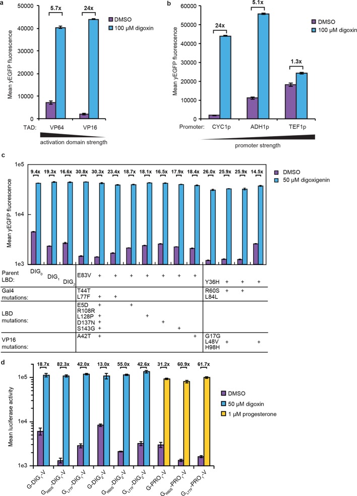 Figure 2—figure supplement 1.