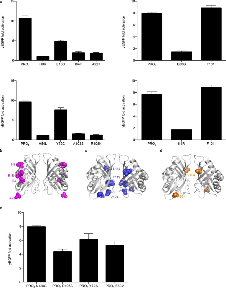 Figure 1—figure supplement 2.