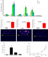 Figure 6—figure supplement 1.