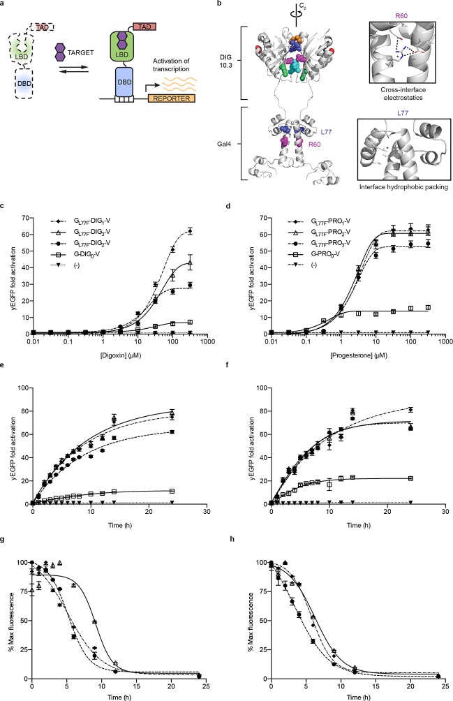 Figure 2.