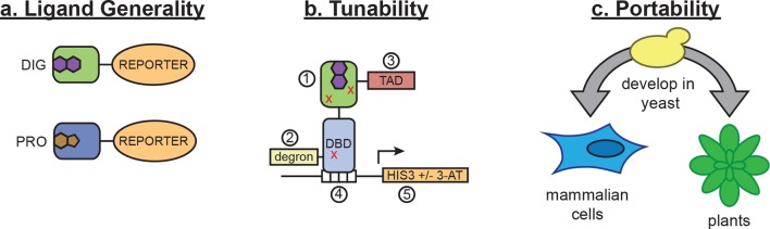 Figure 7.