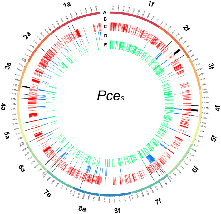 Figure 4