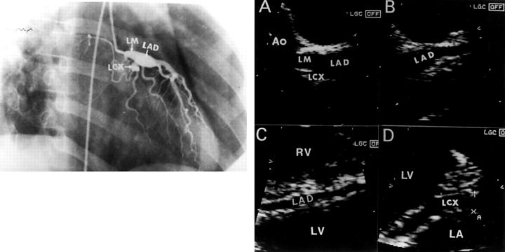 Figure 2  