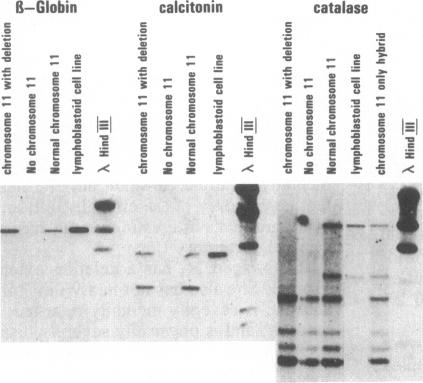 graphic file with name pnas00364-0330-a.jpg