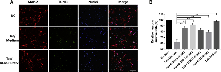 Figure 3