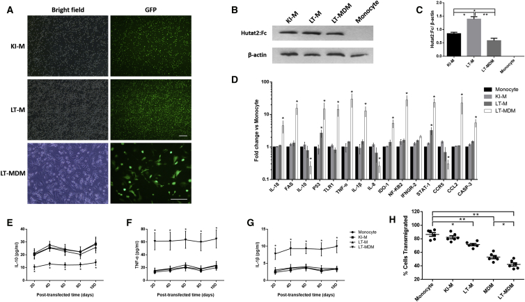 Figure 6