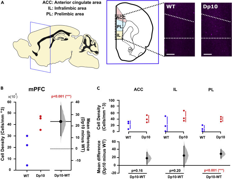 Figure 6